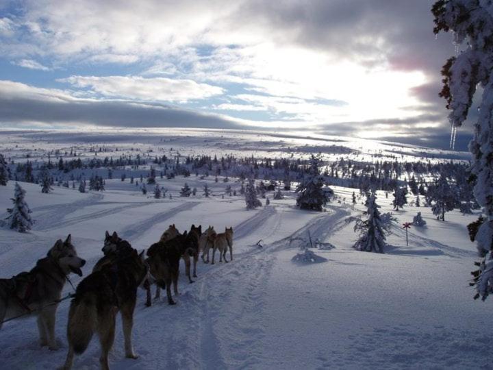 Bed and Breakfast Gaesthus Nornaes Экстерьер фото